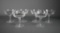 Set of Six Waterford Crystal Lismore Champagne / Tall Sherbet Glasses