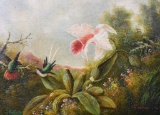 Rafael (XX-XXI) Orchid and Bird, Oil on Canvas, Signed Lower Right