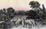 Color Etching “Springtime” of Sheep by G. M___?, Framed