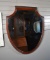 Vintage Mahogany Shield Frame Wall Mirror