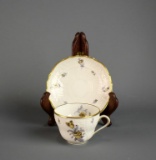Hutschenreuther Pasco Saxony Teacup & Saucer, Germany