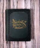 Embossed Cloth Bound “Treasures of Use & Beauty” 1883