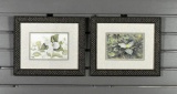 Robin M. McCarter (Amer., XX-XXI) Pair of Wildflowers, Prints, Signed