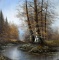 Trees by Stream, Oil on Canvas, Signed (Indistinct) Lower Right