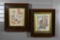 Pair of Botanical Prints in Fine Antique Walnut Frames