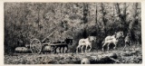 Marcel Jacque (French, 1906-81) Logging Scene with Three Horses, Etching, Signed Lower Right