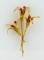 Vendome Coral Beaded 3” Pin