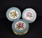 Ten Spode Bone China Floral w/ Pale Blue Band Dinner Plates, England