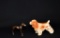 Lot of Two Bronze & Ceramic Dog Figures: Greyhound & American Cocker Spaniel