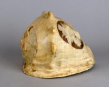 Hand Carved Conch Sea Shell I w/ Classical Figures Diana Etc.