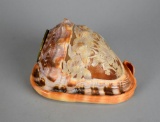 Hand Carved Conch Sea Shell II w/ Classical Dancing Nymph Triad