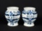 Pair of Delft Blue & White “P. Rudy” 3.5” Apothecary Jars, Holland