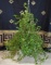 Cast Iron Pineapple Motif Planter with Metal Trellis & Established Ivy Plant