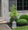 Cast Iron Urn and Base with Metal Trellis and Established Ivy Topiary, ~ 5.5 Ft. Tall