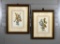 Pair of Hand Colored Prints after Avril, Late 18th C. French Engraver