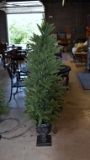 Balsam Hill Co. Pre-Lit Artificial 5.5” Slim Evergreen Tree in Planter with Storage Cover