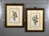 Pair of Hand Colored Prints after Avril, Late 18th C. French Engraver