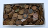 Lot of ~ 641 Wheat Pennies