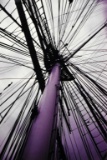 Photo Print of View Looking Up A Ship's Mast