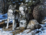 James E. Faulkner (XX-XXI) Wolves Color Lithograph 754/1000, Signed Lower Left