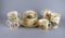11 Pieces of Vintage Royal Doulton Bunnykins Fine Bone China, England