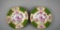 Pair of Antique Mintons Porcelain “Cockatrice” Plates