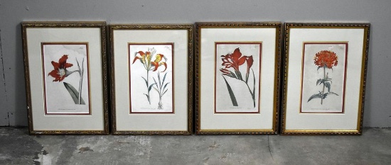 Four William Curtis Hand Colored Copper Engravings from “The Botanical Magazine” 1787, Nicely Framed