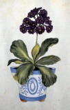 Susan Welsh Decorator Botanical Print on Board