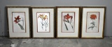 Four William Curtis Hand Colored Copper Engravings from “The Botanical Magazine” 1787, Nicely Framed