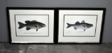 Two Sherman F Denton (Ameri. 1856-1937) Fish Chromolithographs: “The Small-Mouthed Black Bass”