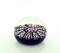 Perthshire Paperweight Crieff Scotland Millifori Glass Paperweight Marked With Letter “P”