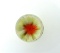 Rick Caffrey Boro Art Glass Orb/Marble”Honeydew” Etched “RPC 2016”, White Flower w/ Orange Ctr.