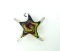 Colorful Hanging Art Glass Starfish, Signed