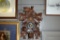 Note UPDATE in Descr. German Black Forest Cuckoo Clock with Moving Birds