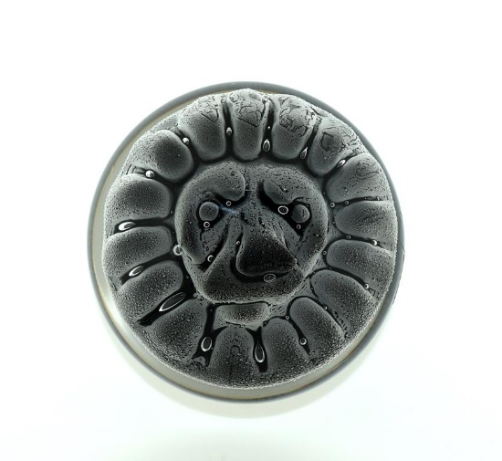 FM Ronneby Magnum Smokey Lion Head Art Glass Paperweight, Etched “FM Ronneby Sweden M79B”