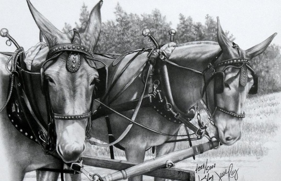 Jesse Ray (American, XX) Signed Ltd. Edition Print (4229/5000) Mule Team