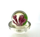 Unsigned Pink Crocus Flowers Art Glass Paperweight with Detached Glass Base