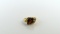 Reddish-Brown Citrine Gemstone and 10K Gold Ring, Size 6