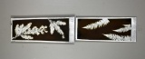 Pair of Fern Motif Ceramic Wall Decor Plaques