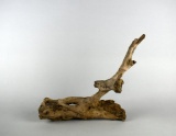 Driftwood Branch