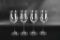 Four Marquis by Waterford Crystal 8 5/8” H White Wine Glasses (Lots 149-152 Match)