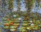 M. Austen (XX-XXI) Lily Pads, Oil on Canvas, Singed Lower Right