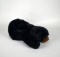 Ty Black Bear Plush