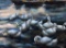 __ (XX-XXI) Swimming Ducks, Oil on Board, Unsigned