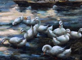 __ (XX-XXI) Swimming Ducks, Oil on Board, Unsigned