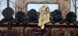 George Griffith “Griff” (So. Car., 1942-- )  “Six Pack” Framed Print, 1986, Signed in Print