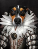 Terrier in Elizabethan Costume Photo Print