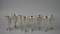 Eight S. Kirk & Son Sterling Silver Goblets