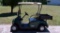 2012 Green and Tan E.Z.Go 12V Electric Two Seater Golf Cart with Cargo / Bag Tray, Model 606600G01