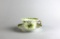 Antique Haviland & Co. Limoges Green Floral Sprays China Teacup & Saucer, France